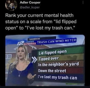1752640660597.png