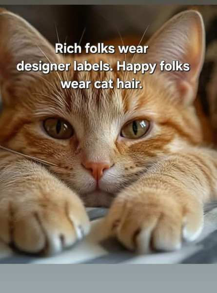 1754687015166.png