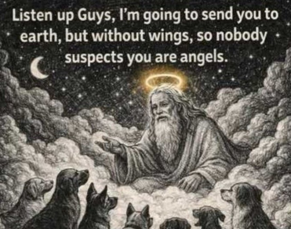 1776976709142.png