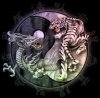 Dragons+-+Tiger+Dragon+Yin+Yang2.jpg