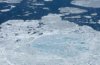 280px-Sea_Ice_MeltPonds.jpg