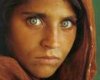 afghan girl.jpg