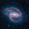 spitzer1.jpg