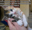 1754237166082.png