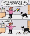 1756607401517.png