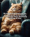 1758184119114.png