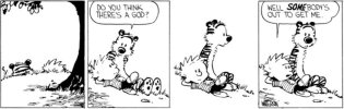 8b1c3dfc9c0bfd5760183a9b70dfed76--calvin-and-hobbes-quotes-calvin-and-hobbes-comics.jpg