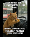 1760750092523.png