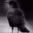 John_672